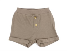 Name It fungi shorts